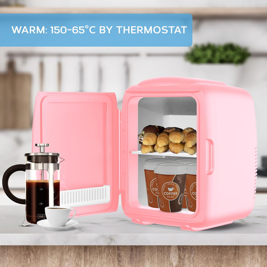Mini Car Refrigerator